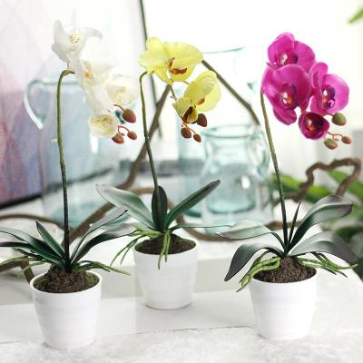 China Eco-friendly Artificial Orchid Flower Pots Wholesale Eco-friendly Latex Real Touch Orchid Flower Pots Home Party Decoration DIY Home Party Plants Cut Layouts for sale