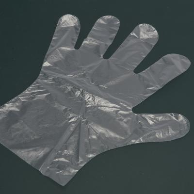 China High Performance Transparent Household Cleaning Disposable Plastic Gloves For Universal Food Handling And Cleaning for sale