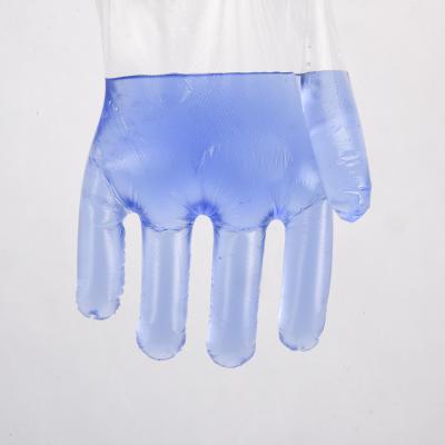 China New Arrival 50pcs 100pcs Kitchen Food Hand Cleaning Disposable Plastic Gloves for sale