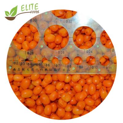 China FROZEN 100% Whole Fruit Flavor IQF Approved Sour Fresh Sea Buckthorn BRC A for sale