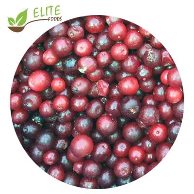 China IQF new culture FROZEN fruit frozen sour cherry for wholesale for sale