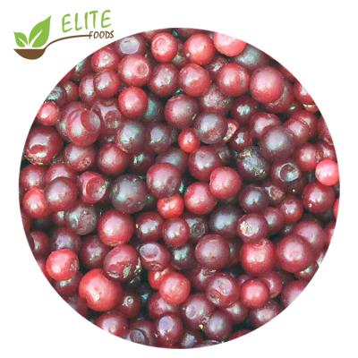 China Hot Selling FROZEN Cherries Fresh Price of IQF Frozen Sour Cherry IQF Frozen Cherries Volume for sale