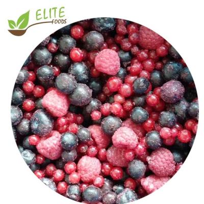 China FROZEN Mixed Frozen Berries IQF Pass Kosher High Quality Mixed Berries for sale