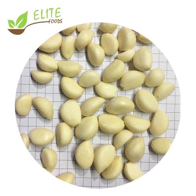 China FROZEN Garlic Cloves Garlic Suppliers FROZEN Peeled Vacuum Packed Culture New High Quality With Best Price for sale