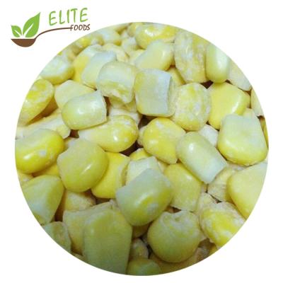 China New FROZEN Frozen IQF Culture Corn Kernel Suppliers and Manufacturers Online for sale