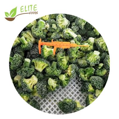 China IQF FROZEN Broccoli Frozen Cuts Steam Fresh Broccoli Cuts Good Frozen Vegetables Price Supplier Manufacture Online for sale