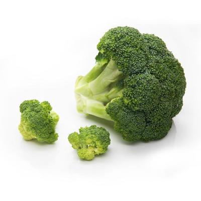 China High Quality New Season Broccoli Cuts IQF FROZEN Frozen Broccoli Florets Factory Suppliers Good Price for sale