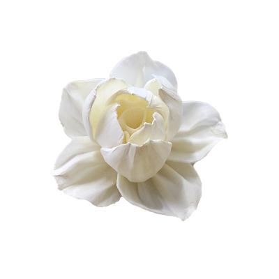 China Home Fragrance and Decoration 100% Wholesale Home Fragrance Reed Diffuser Flower Decor Gardenia Rose Lily Sola Wood Flower Cotton Handmade Air Freshener Rope for sale