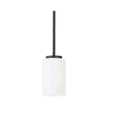 China Modern China Shipping Led Pendant Light Ceiling Hanging Light One Led Kitchen Light E26 Base for sale