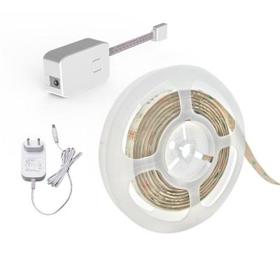 China Indoor RGB Music Led Strips Light With Remote Controller Color Changing Led Strip Light for sale