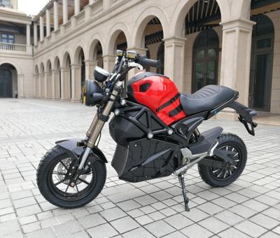 China New Small Unisex China Style Electric Automatic Motorcycle 2000w 3000w Monster For Adult for sale