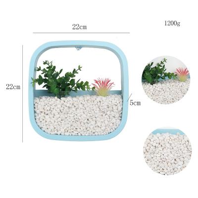 China Factory Direct Selling Wall Hanging Plants Artificial Plastic Succulent Office Decoration Mini Home Office Wall Hanging Home Decor Succulent for sale