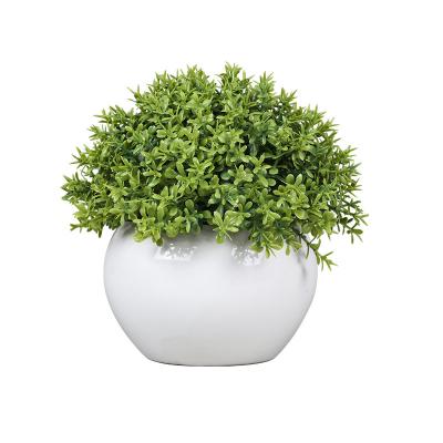 China Home Office Decoration Office Makers Mini Artificial Potted Plants Flower Plants With Ceramic Pot Home Office Decoration Simulated Bonsai Trees for sale