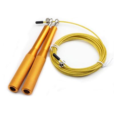 China Gym Exercise High Quality Aluminum Handle Jump Ropes Jump Rope For Health for sale