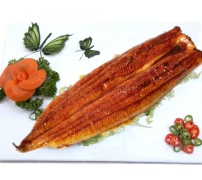 China Eel unagi kabayaki low sugar grilled live eel roasted eel for sale