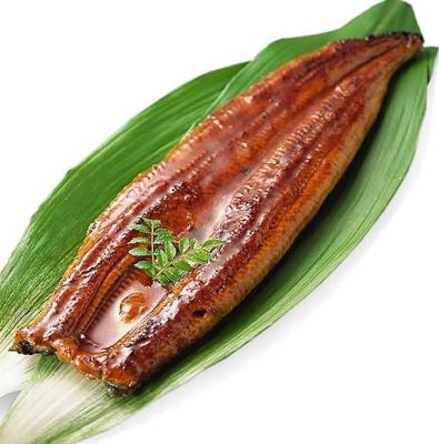 China FROZEN 12 oz roasted eel, sea eel, unagi kabayaki for sale