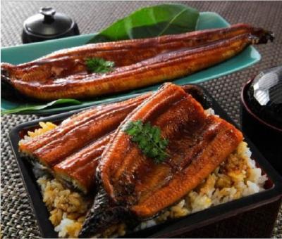 China FROZEN frozen boiled eel sea eel unagi fillet fish kabayaki sushi with high quality for sale