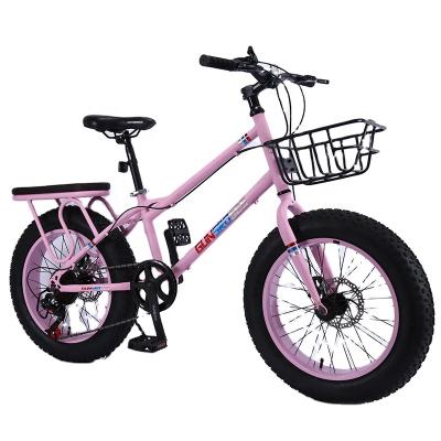 China Red Rabbit Rabbit 023 Carbon Steel 20 Inch Fat Rear Seat Front Basket 4.0 Tire Snow Bike For Student for sale