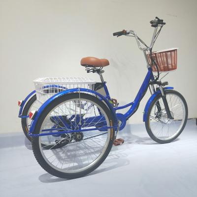 China Cargo China 3 Wheel Adult Cheap Electric Bicycle Tricycle 250W for sale