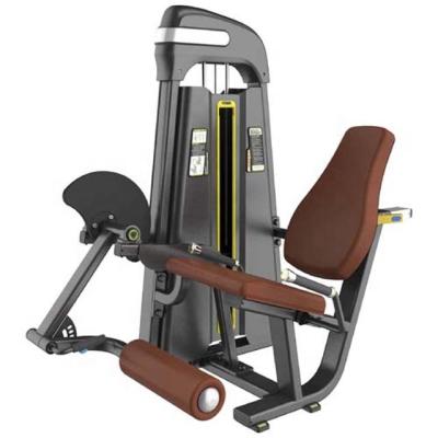 China Universal Strength Machine Commercial Fitness Equipment For Leg Extension for sale