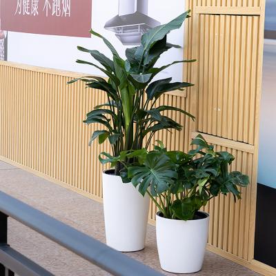 China Europe Plant Decoration Planters Outdoor Home Gardening White Glazed Flower Pots for sale