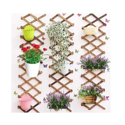 China Easily Assembled Wood Raised Frame Outdoor Structure Plant Decor Garden Furniture Wall Hanging Bed Planter Fence Panel for sale