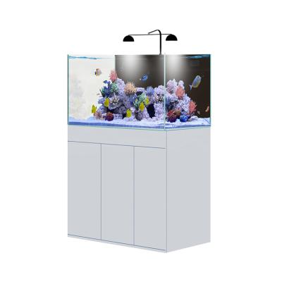 China China Pet Sustainable Supplies Acrylic Fish Aquarium Tank And Rack Cabinet for sale