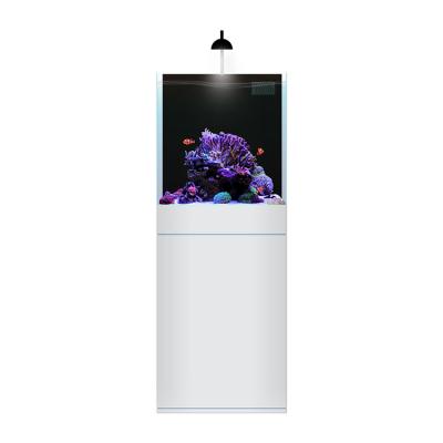 China Pet Viable New Products Home Free Standing Fish Tank Corner Shelves Aquarium Cabinets Racks for sale