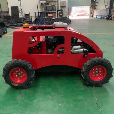 China 2-Stroke LEO Discharge Gasoline Self Propelled 20IN 3 In 1 Anti Power Battery Battery Acid Air Max Red OEM Box 2-Stroke LEO Lawn Mower Grass Cutter zu verkaufen