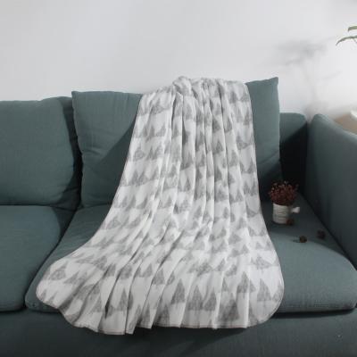 China Huafeng Wholesale Unique Antistatic Design Double Brushed Blanket Spray for sale