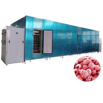 China Factory iqf industrial fruit tunnel freezer iqf raspberry fluidized industrial freezer à venda