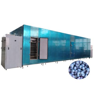 China Industrial blue factory strawberry 100kgh iqf conveyor belt tunnel freezer fruit iqf tunnel freezer à venda