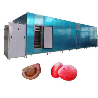 Китай Factory conveyor belt iqf freezing tunnel vegetable freezer prices frozen vegetable tunnel freezer продается