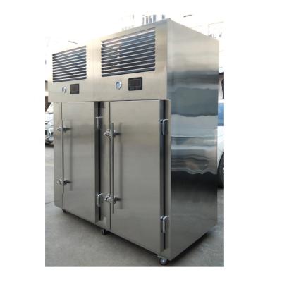 China Small hotels iqf batch blast freezer blast freezer tunnel machine for sale