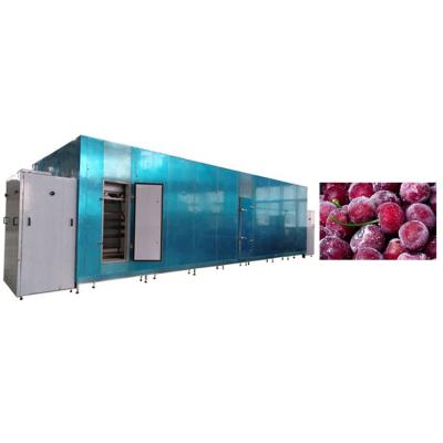 China price industrial tunnel freezer tunnel belt factory iqf freezer for sale