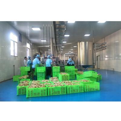 China Automatic Chips Continuous Plantain Chips Production Line Plantain Chips Production Line for sale