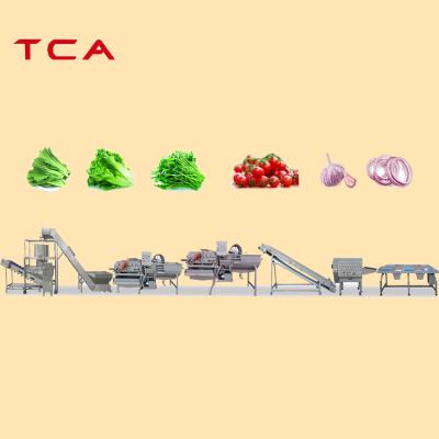 China Full Automatic Fruit And Vegetable Cleaning And Sprinkling Piping Vegetable Salads Washing Processing Line for sale