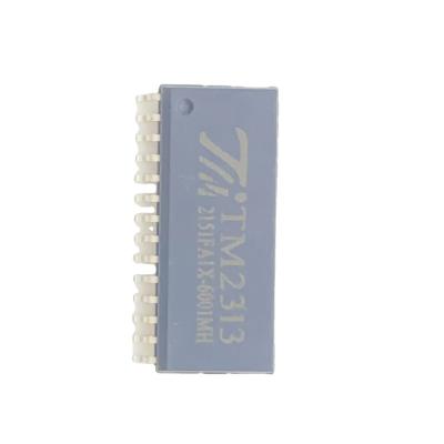 China TM2313 SOP28 Standard Dense Pin Audio Processing Digital Control IC for sale