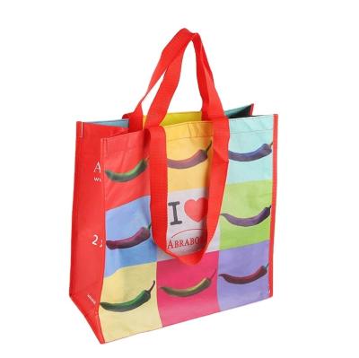 China Custom Logo Design REPT Reusable Shopping Bag Handled Eco Friendly Non Woven Packaging Bag for sale