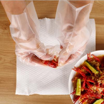 China Outstanding Quality Injection Matte Embossing Household TPE/CPE/Vinyl Grilling Cleaning Gloves for sale