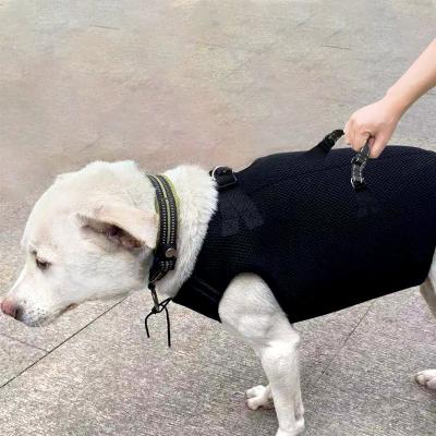 China Viable wholesale mesh summer spring pupreme luxury dog ​​clothes manufacturer frabic for sale