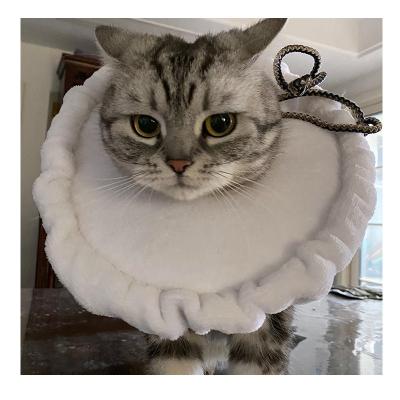 China Elizabeth Padded Materials ISO10993 Medical Soft Adjustable Pet Postoperative Recovery Protective Collar For Dog Or Cat for sale