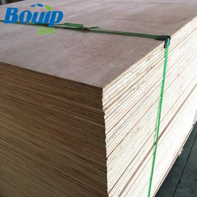 China China Foshan Industrial Wholesale Factory 12 Mm Common Cheap Plywood for sale