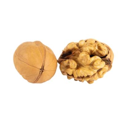 China Dry walnut in China Xin2 lightweight core inshell nuts for 30mm and 32mm washed for sale