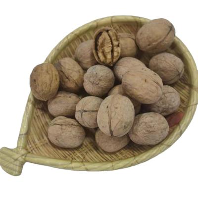 China Xinjiang dry sales 185 walnuts with high quality, high protein, 30mm+32mm+ light sources for 2021 new crop for sale