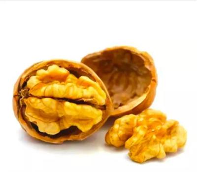 China Chinese dried manufacturers sell 100% natural, high quality raw nuts, high quality shelled nuts in situ for sale