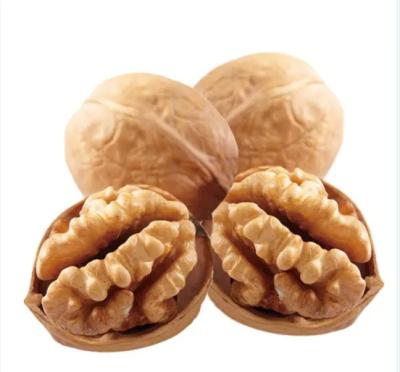 China High Quality Paper Shell Dry Susceptible Snacks Walnuts Easy To Crack Susceptible Walnuts for sale