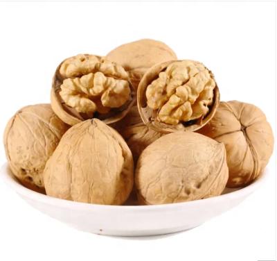 China 2021 Excellent Quality Dried Xinjiang 185 Walnut With Bulk Shell Wholesale for sale