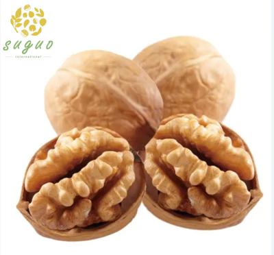 China Xinjiang 185 Dry Sweet Walnut Walnut Skin Paper High Quality Walnut for sale