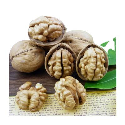 China China dry unwashed walnut inshell 185 walnut size good quality jumbo walnut for sale